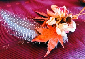 Plumes
