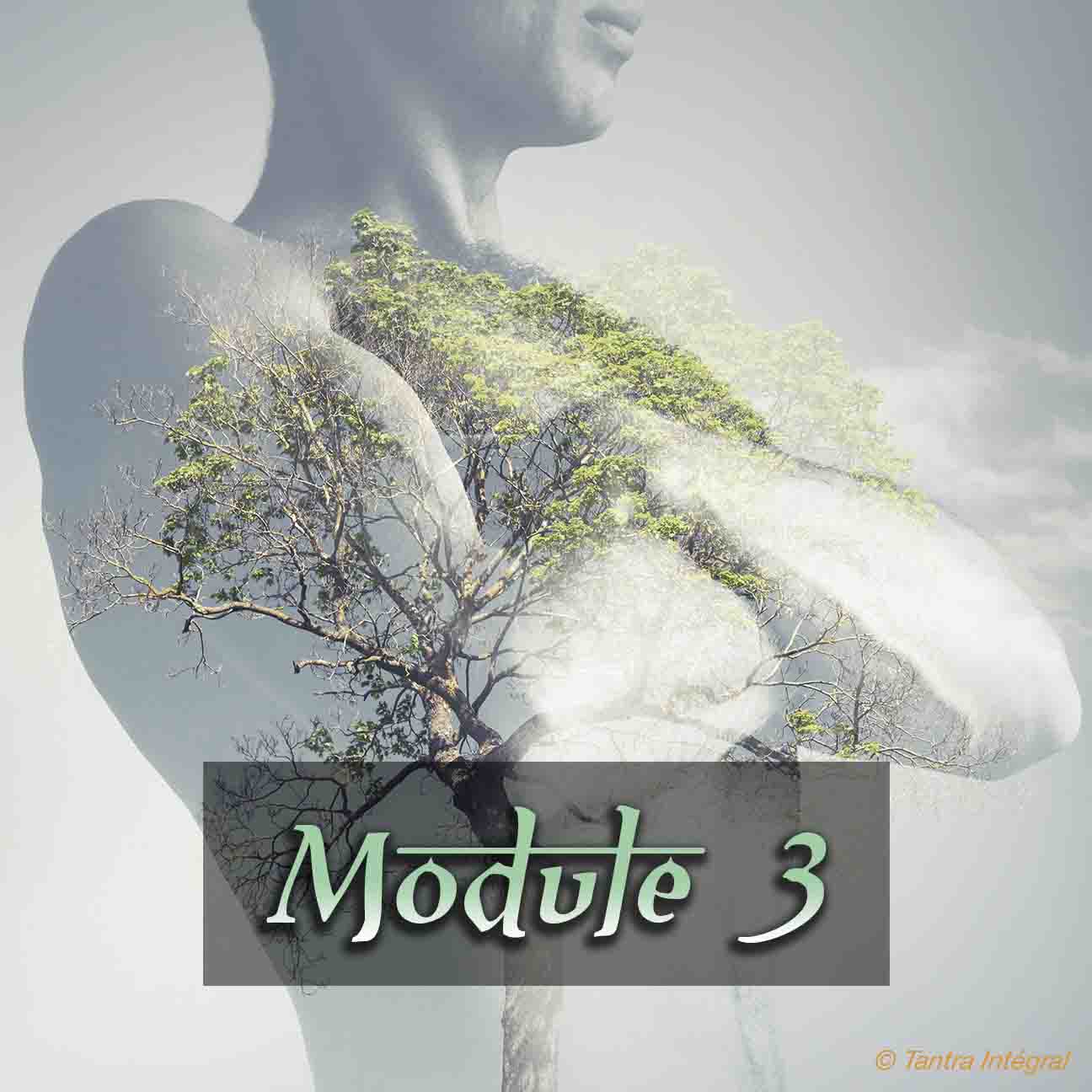 Vignette-Homme-3