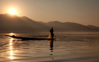 Accepter ce qui est : accueillir la vie pour vivre heureux, article de Jacques Ferber Tantra Intégral